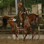 arabE Ch GOLD Trad.Ar.Riding western, LOGGIA & Susanne Schuh, AUT ECHO5634